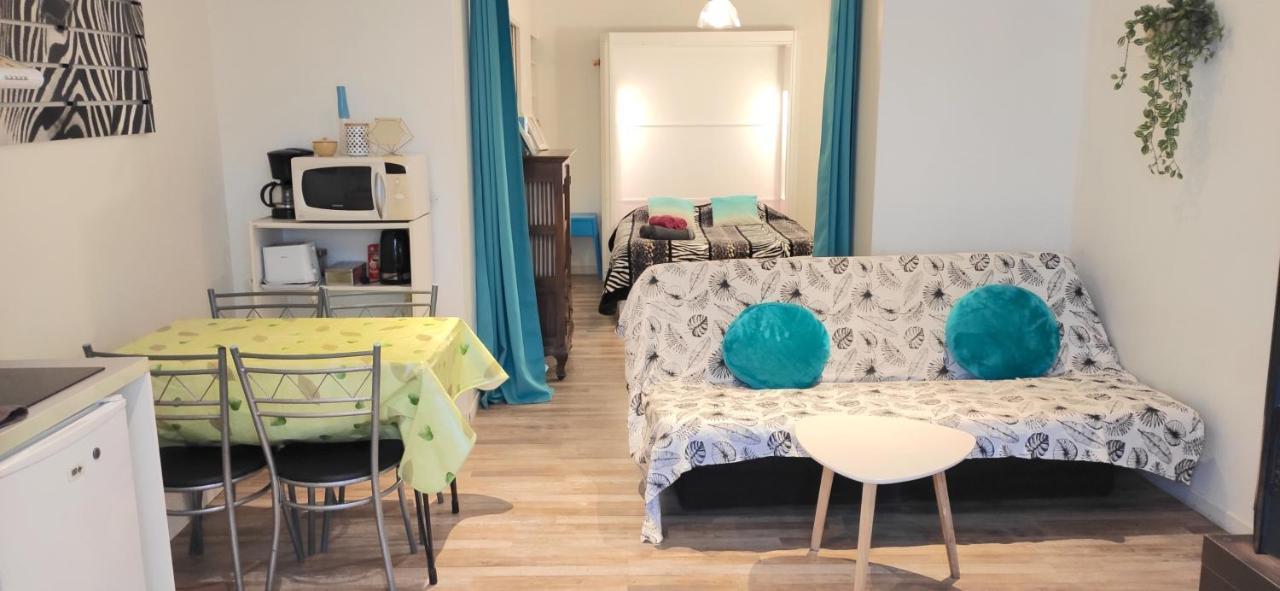 Appartement Grand studio Cahors Centre RDC proche Gare Pont Valentré Extérieur photo
